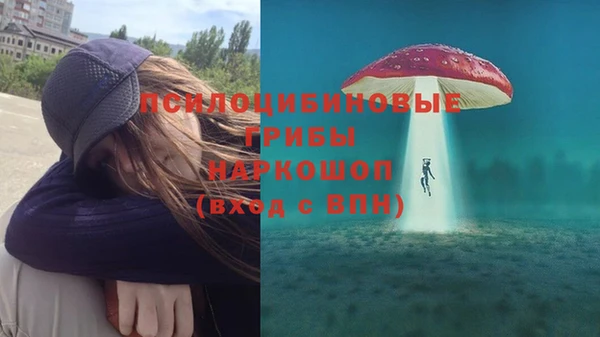 стаф Осинники