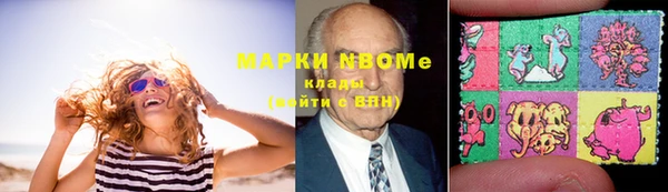 стаф Осинники