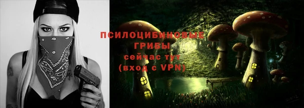 стаф Осинники
