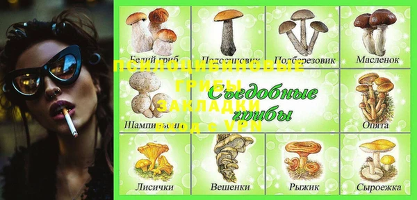 стаф Осинники