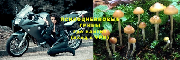 первитин Осташков