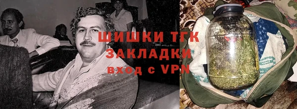 стаф Осинники