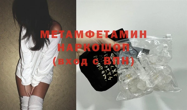 стаф Осинники