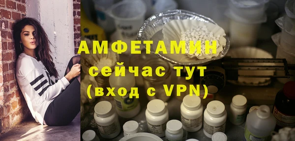 стаф Осинники