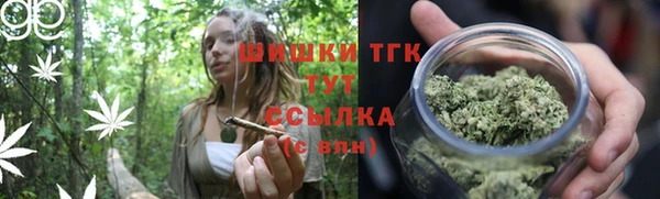 стаф Осинники