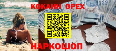 гидропоника Рязань
