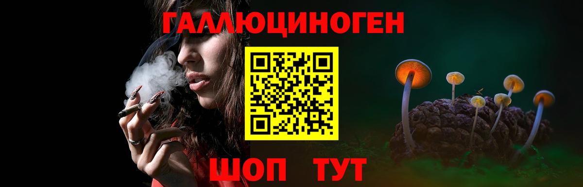 Псилоцибиновые грибы мицелий  Вход с VPN  Стрежевой 